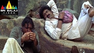 Vikramarkudu Movie Climax Fight Scene Ravi Teja, Hka, Ajay Sri Balaji Video
