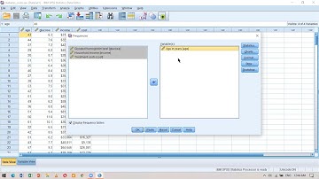 SPSS Tutorial 2 - Descriptive Statistics