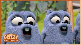 Bling Bling Bear | Grizzy & the lemmings 🐻🐹