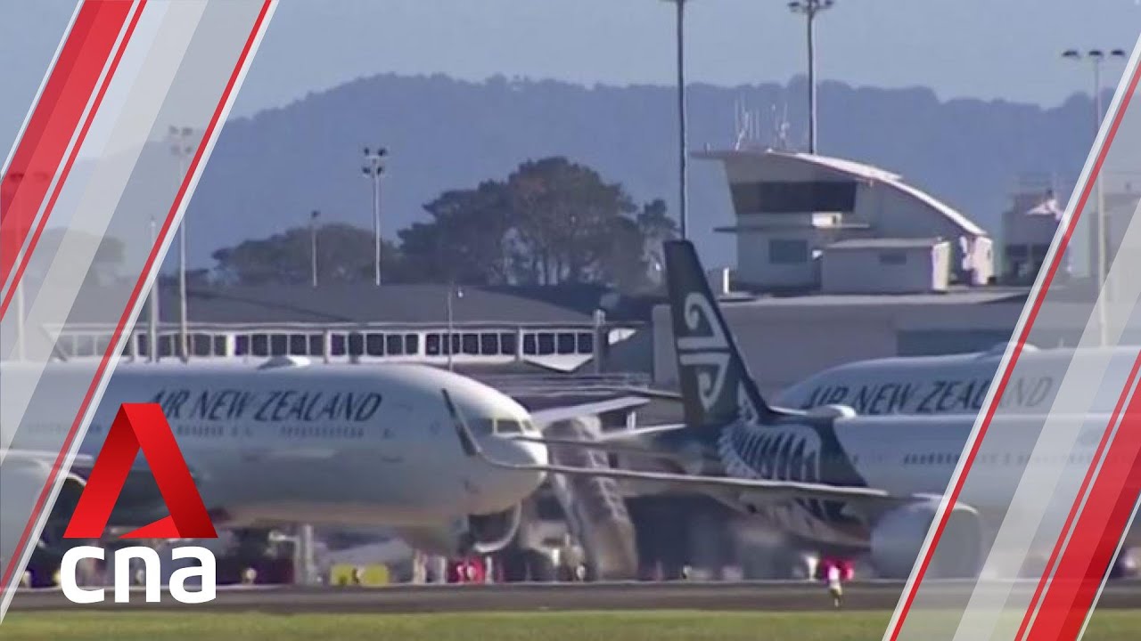 Air New Zealand puts hold on new bookings for flights as