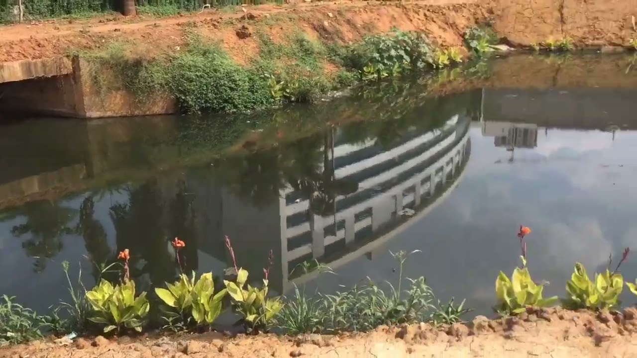 ## margondanahalli lake  part 2 videos Electronic City Road.margondanhalli lake new town part1 link