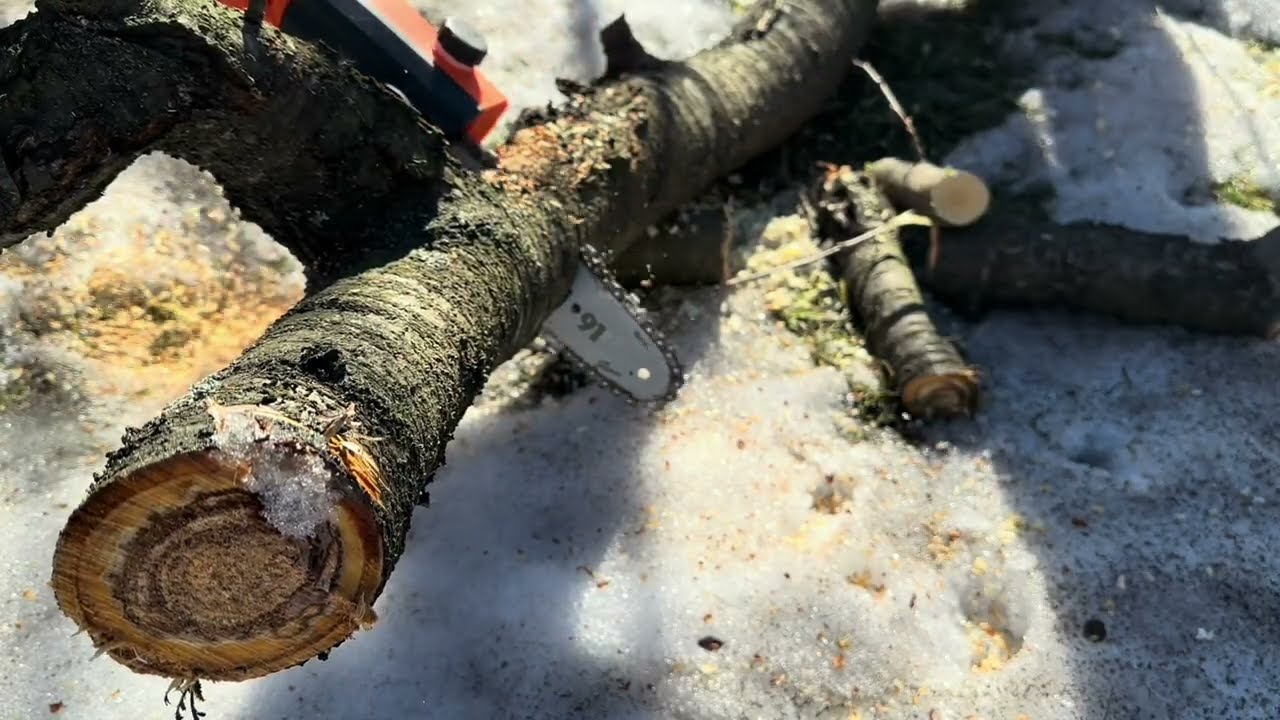 Придбав акумуляторний висоторіз SEQUOIA SBPS2008TO-EV. Весняна обрізка саду. Висоторіз SEQUOIA. Сад.