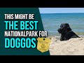 RV Dog&#39;s Favorite National Park: Indian Dunes in Michigan City