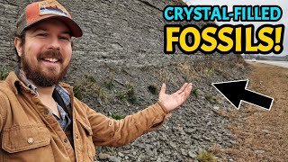 Discovering Kentucky&#39;s Ancient Oceans - We Found INCREDIBLE Fossil-Geodes &amp; More at these Roadcuts!