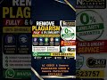 Remove Plagiarism & AI Detection from Assignment, Thesis, Research Project & Internship | Humanize