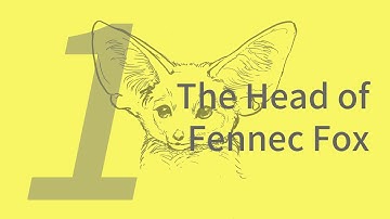Xiaohua the Fennec Fox 1: Head | Learn to Draw Animals with ZHAO Chuang