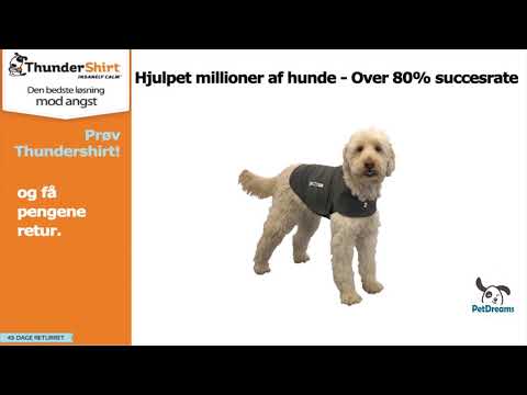 Video: Retsmidler Mod Forstyrret Mave Hos Hunde