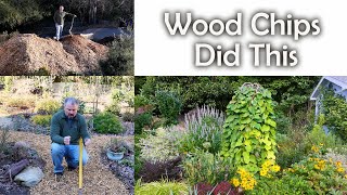 Wood Chips Quickly Changed My Soil  Organic Gardening