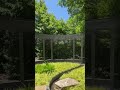 15 Seconds of Pure Calm 🌿 #shorts #shortvideo #roadto100subs