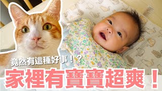 【小貓奴養成記EP8】貓咪發現寶寶意外好處收涎真是太開心啦