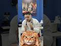 اخطيك من نصائح الفيسبوك #veterinarypharmacist #طبيب_بيطري #animalhealth #دويتو #قطط #cat #funny