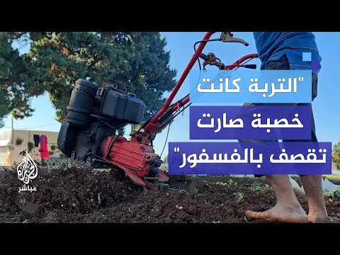 أزمات متتالية في سهل عكار شمالي لبنان بعد أن كان لديهم شبه اكتفاء ذاتي