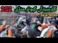 252 part 2  kallar syedan kabootar mandi  latest update high flyer pigeon market price 2442024