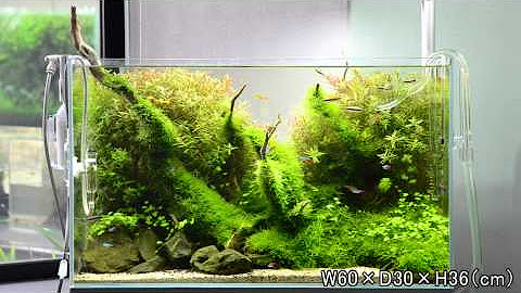 Aquadesignamano Youtube
