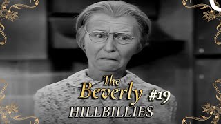 The Beverly Hillbillies - Special Part 19 | Classic Hollywood TV Series