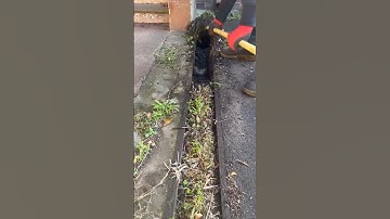 Satisfying unblocking if this drain! #shorts #shortsvideo #drain #clean #engineering