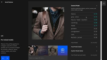 Watson Visual Recognition Tutorial (part 1)