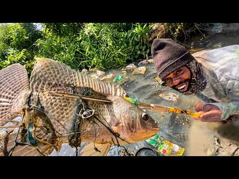 LIVING PROOF!! The fish that survives in dirty water!
