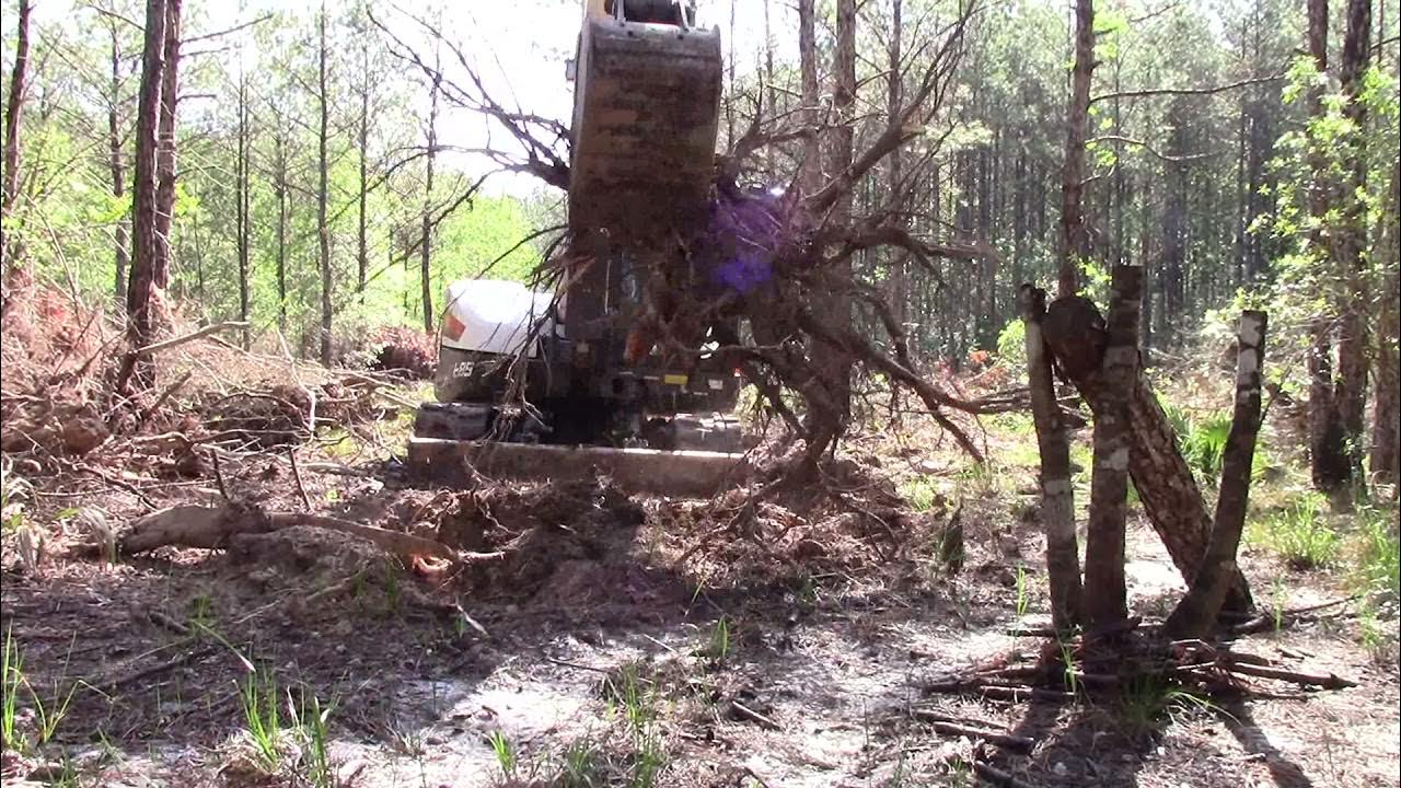 Bobcat e85 pulling pine tree stumps YouTube