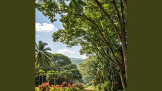 Download Lagu My Heart’s Secret Tide MP3