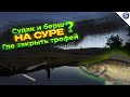 СУДАК И БЕРШ НА СУРЕ || ГДЕ ЗАКРЫТЬ ТРОФЕЙ? || РУССКАЯ РЫБАЛКА 4