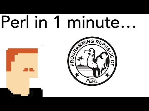 What is perl? || 2 minutes of your time please and thank you