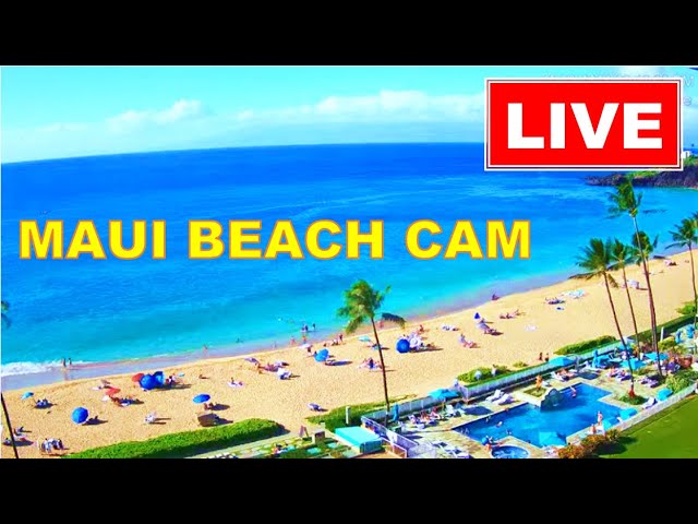 🐳  LIVE 24/7  🌴 4K MAUI LIVE CAM!  * BEACH CAM *  www.WhalerCondo.net
