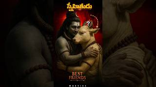 Shiva’s Secret Best Friend? 🤯 Nandi’s Epic Bond Revealed! | M Advice
