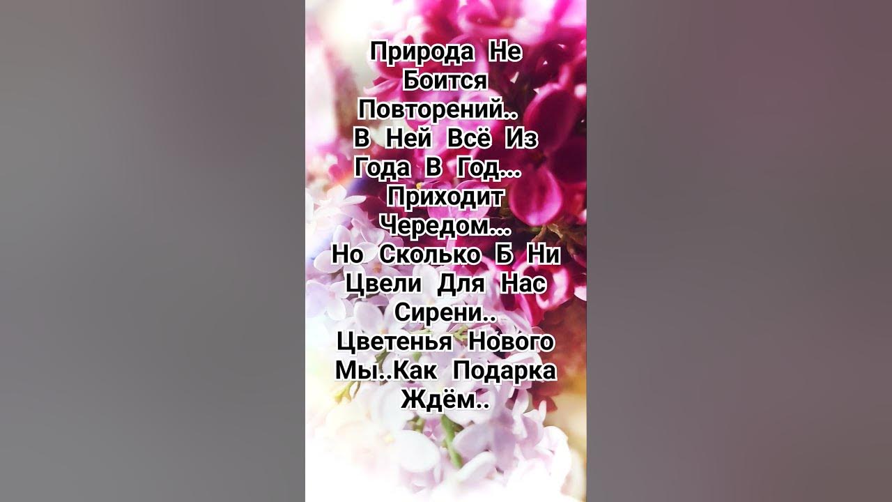 #shorts #цитаты #мысли #мысливслух #любовь #проза #стих #афоризмы # ...