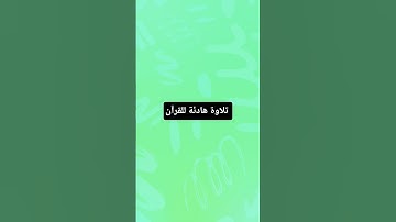 تلاوة هادئة #القرآن_الكريم #استغفر_الله #اكسبلور #ا #اللهم_صل_وسلم_على_نبينا_محمد #القرآن_الكريم