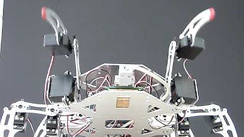 Video Robot Hexapodo V2