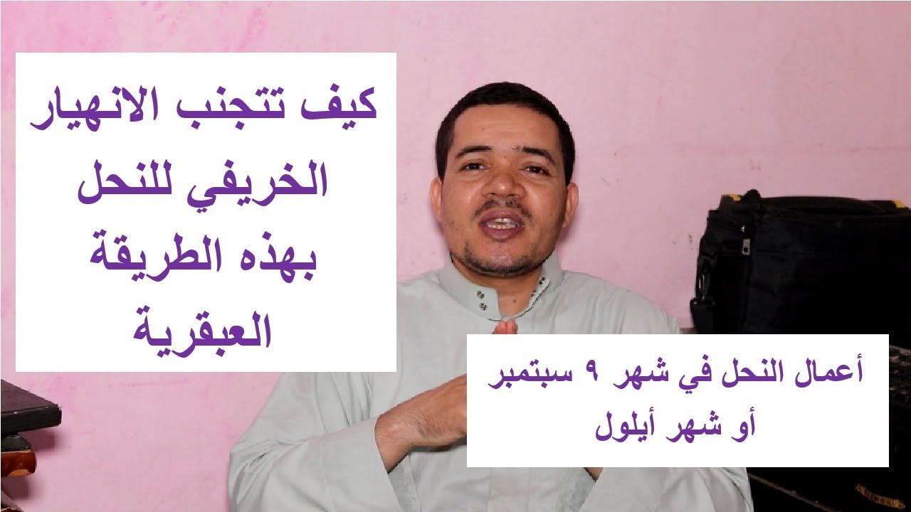 أعمال النحل في شهر 9 سبتمبر أيلول وكيف تتجنب الانهيار الخريفي