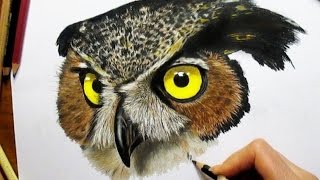 Colored Pencil Drawing of an Owl - Speed Draw | Jasmina Susak