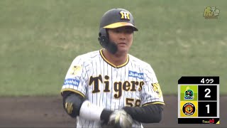 【猛アピール】4回裏、#前川右京 選手のライト線へタイムリーツーベースヒット！攻守で存在感！【2024/3/9Ｔ－Ｓ】