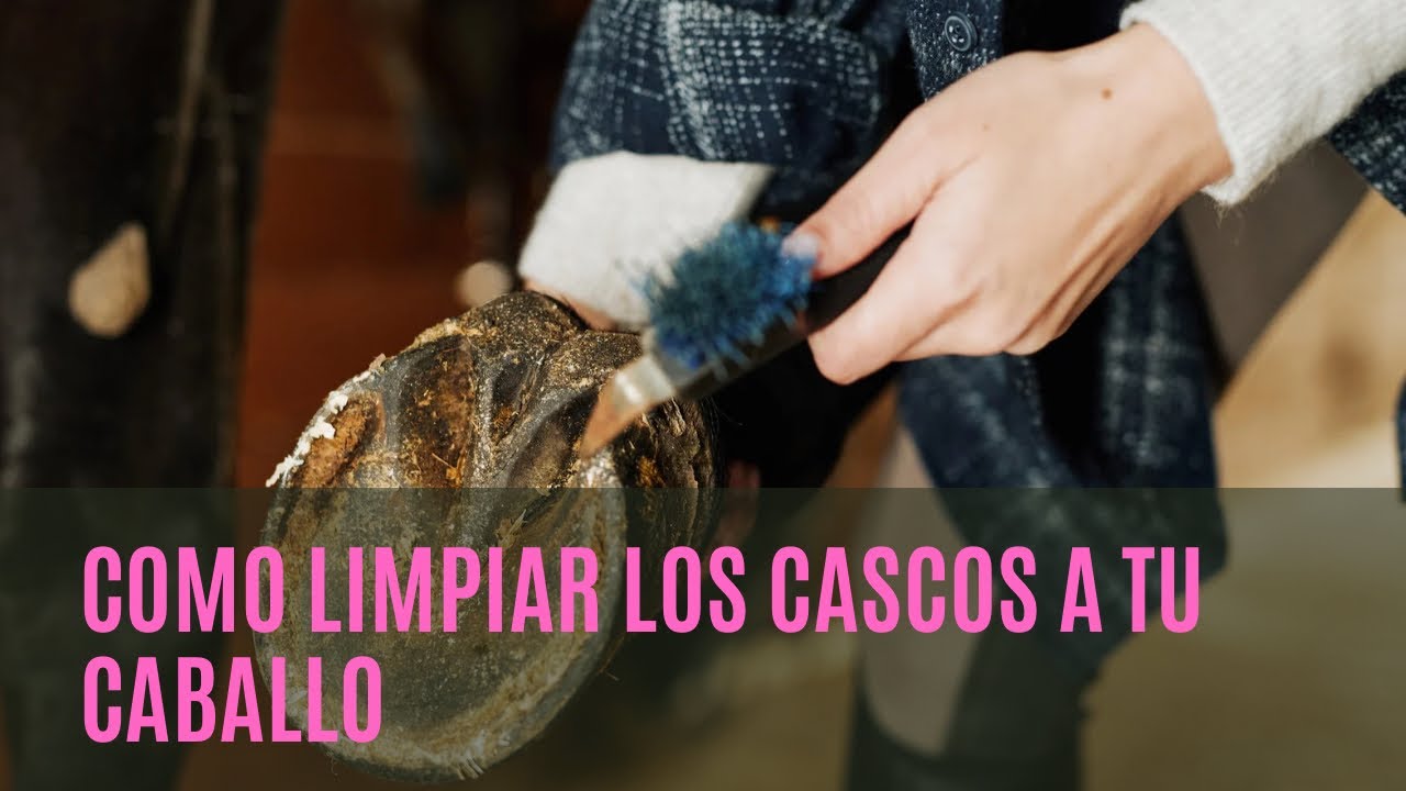 COMO LIMPIAR LOS CASCOS A TU CABALLO 🐴 paso a paso 