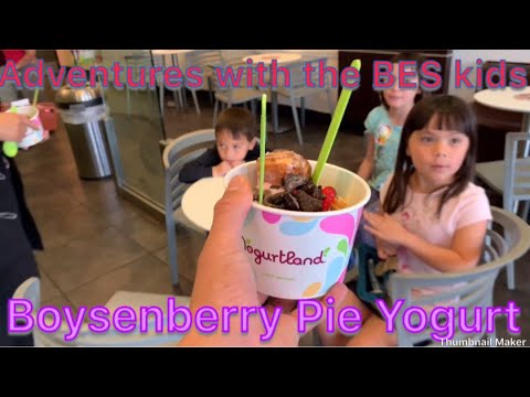 Boysenberry pie yogurt at Yogurtland