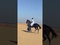 أنجليزى مدنى الخزان خيل