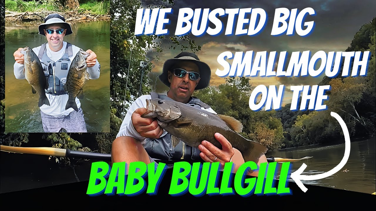 We Busted Big Smallmouth on The Baby BullGill | BigBaitPosse