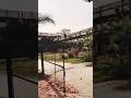 Mera College 🎒📒📜 || #viral #video #shorts #college #trending # short #love