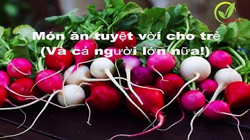 Hướng dẫn cách trồng củ cải đỏ đơn giản