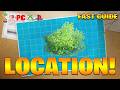 Where to Find Bush Location in Fortnite! (How to Get Bush Location)