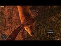 Far Cry 6 Jaun reacts when you pet the dog instead of follow him