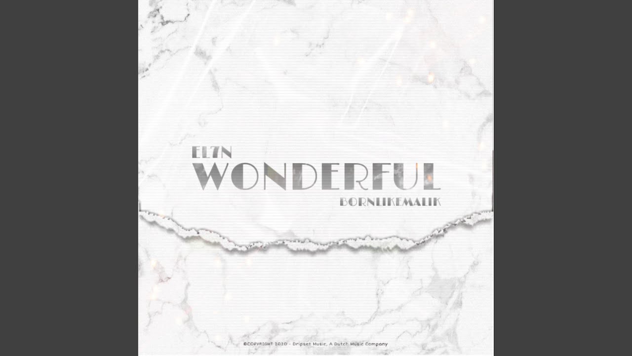 Wonderful (feat. Bornlikemalik)