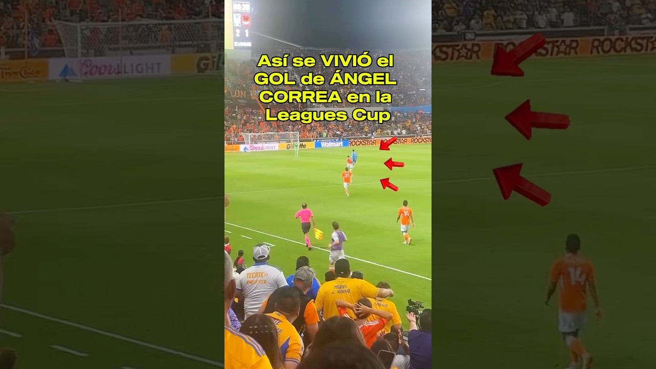 🐯GOLAZOOOO de ÁNGEL CORREA 💢⚽️ 