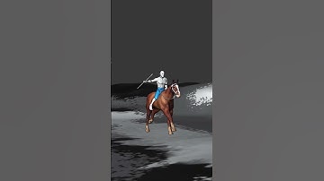 Horse riding 3d  animation videos