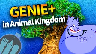 How to Use Genie+ in Animal Kingdom