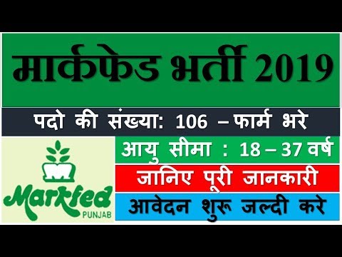 Markfed Punjab Recruitment 2019 | Assistant, Steno Typist | मार्कफेड पंजाब भर्ती Markfed Punjab Recruitment 2019 | Assistant, Steno Typist | मार्कफेड पंजाब भर्ती