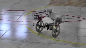 Control of Mobile Inverted Pendulum (MIP) Robot