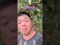 【國寶級攻擊】登山客巧遇「台灣國寶」 自拍竟遭無影腳偷襲XD｜自拍｜藍腹鷴