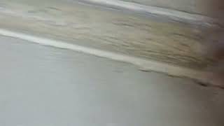 Transparent Clean: Floor Revival with Veronica for a Fresh Shine!